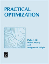 Copertina  Practical optimization