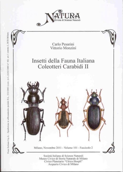 Copertina  Insetti della fauna italiana : coleotteri carabidi II