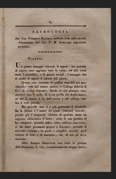 Copertina  Sul cav. Federigo Zuccari, articolo letto alla Società Pontaniana dal Cav. F. M. Avellino segretario perpetuo