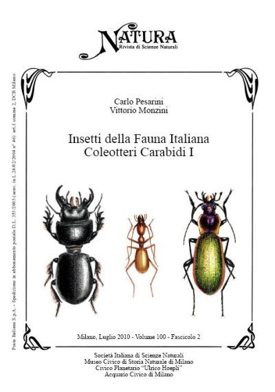 Copertina  Insetti della fauna italiana : coleotteri carabidi I